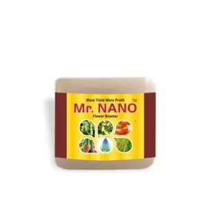 Mr. Nano (1 Gm)