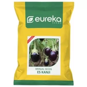 Brinjal ES Kanji - F1 Hybrid ( 10gm )