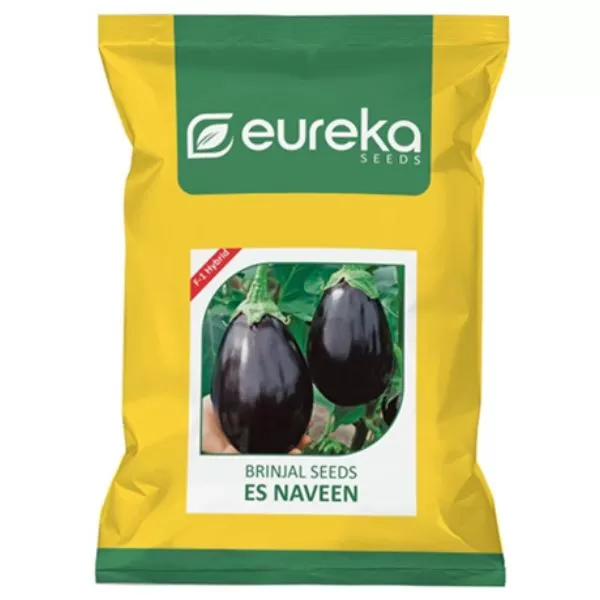 Brinjal ES Naveen - F1 Hybrid ( 10gm )