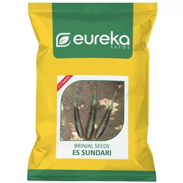 Brinjal ES Sundari - F1 Hybrid ( 10gm )