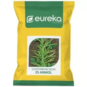 Clusterbean ES Anmol - Improved ( 50gm )