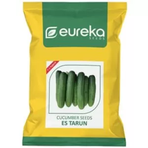 Cucumber ES Tarun - F1 Hybrid ( 25gm )