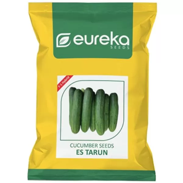 Cucumber ES Tarun - F1 Hybrid ( 25gm )
