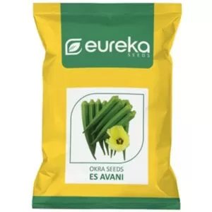 Okra ES Avani - Improved ( 50gm )