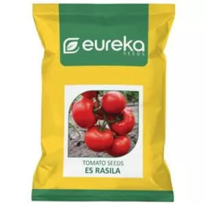 Tomato ES Rasila - Improved ( 20gm )