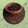 Mixed Cake Powder - ஐந்து வகை புண்ணாக்கு கலவை ( 1kg )