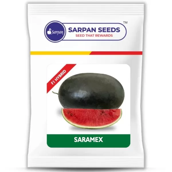 SARAMEX - Watermelon (ICEBOX) 50gms