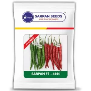 Sarpan - 4444 Chilli seeds ( 10gm )