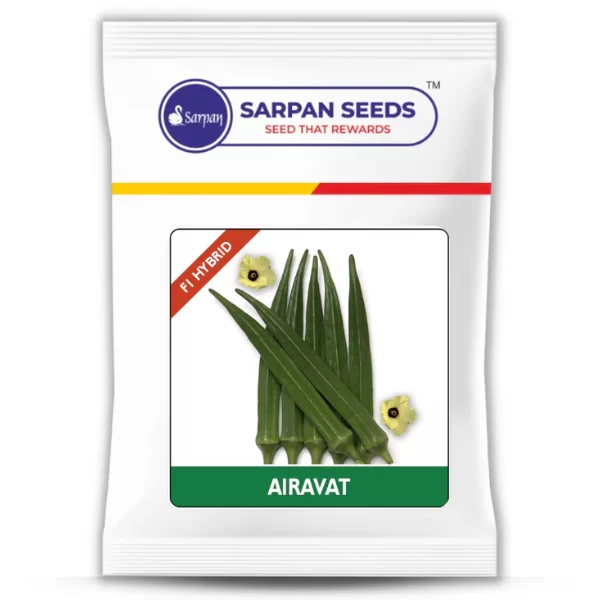 Sarpan Airavat Bhendi Seeds ( 100gms )