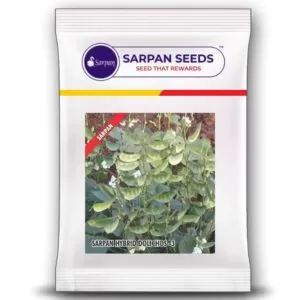 Sarpan All season Dolichos-3 ( 500gm ) 2600 seeds