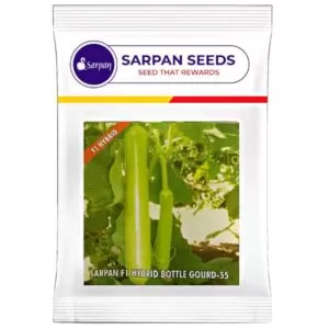 Sarpan Bottle gourd-55 ( 25gm ) 185 seeds