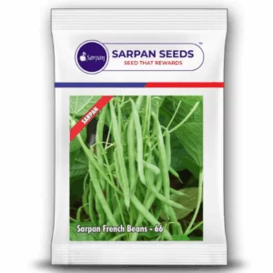 Sarpan French Beans-66 ( 500gms )