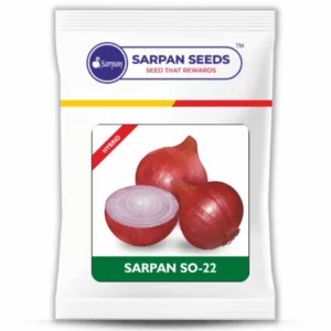 Sarpan Onion-22 ( 500gms )