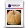 Sarpan Pumpkin-101