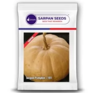 Sarpan Pumpkin-101