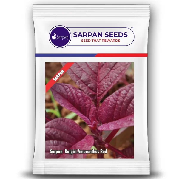Sarpan Rajgiri Amaranthus Red ( 100g )
