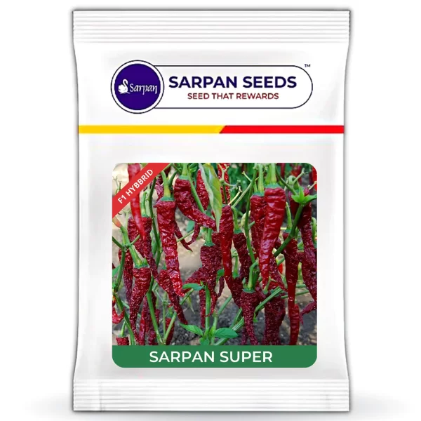 Sarpan Super ( Dabbi Byadgi Chilli seeds ) 10gm