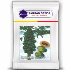 Sarpan papaya Solo-109 ( 10gm ) 450 Seeds